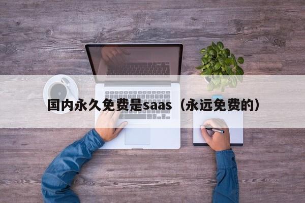国内永久免费是saas（永远免费的）