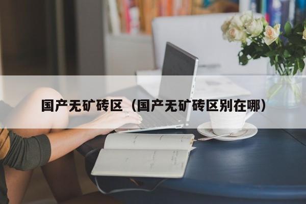 国产无矿砖区（国产无矿砖区别在哪）