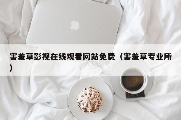 害羞草影视在线观看网站免费（害羞草专业所）